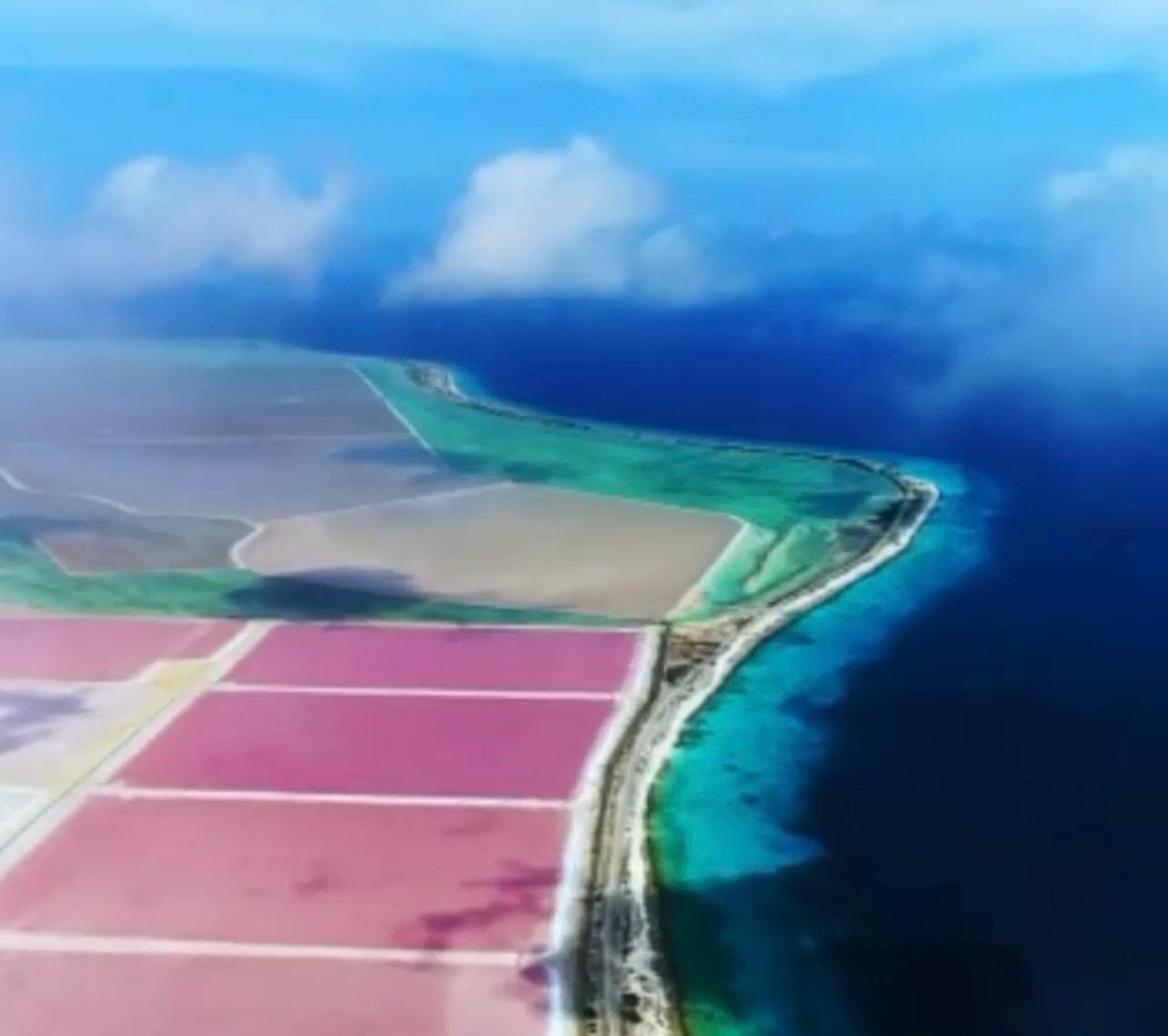 THE COLORS OF BONAIRE
