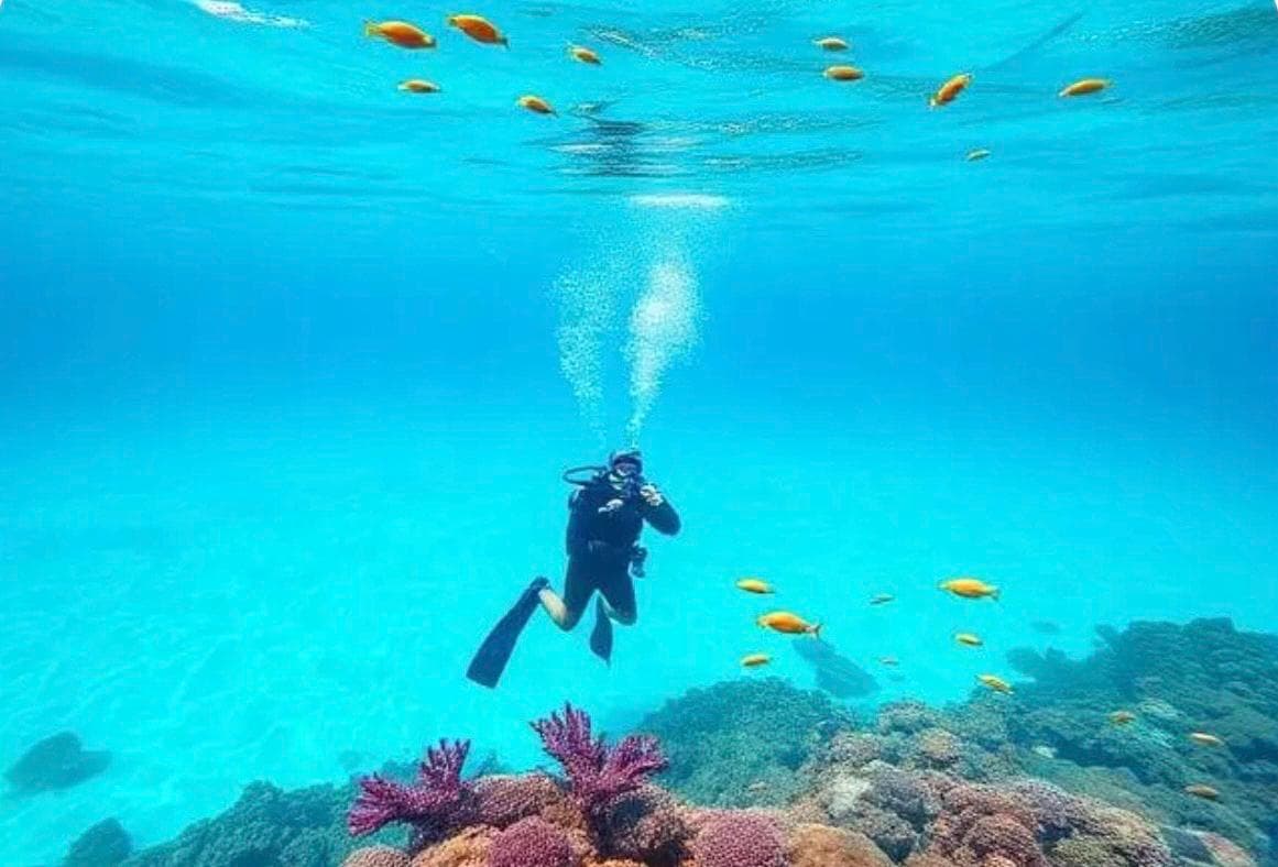 A WORLD BENEATH THE SURFACE